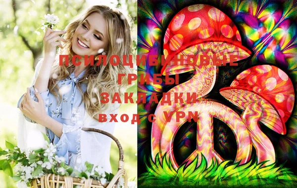 амф Инта