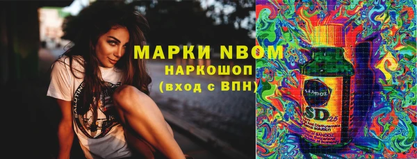 амф Инта