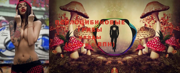 амф Инта