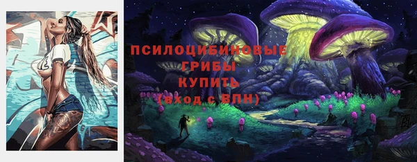 амф Инта