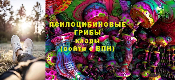 экстази Каменка