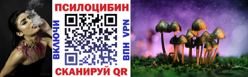 Купить закладки  Эртиль  Псилоцибиновые грибы Psilocybe 
